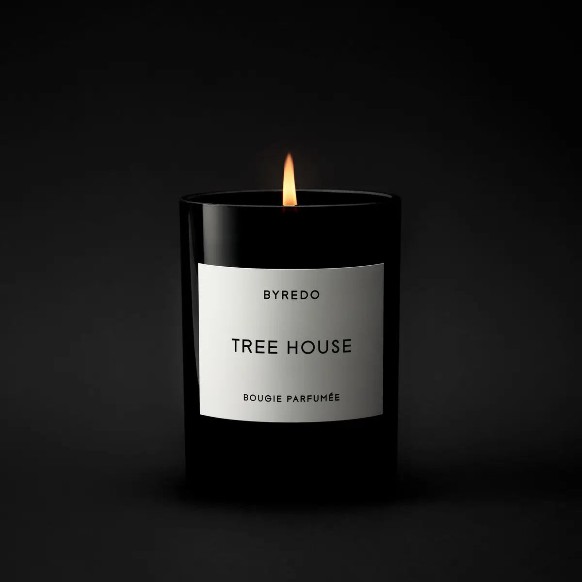 BYREDO - Tree House