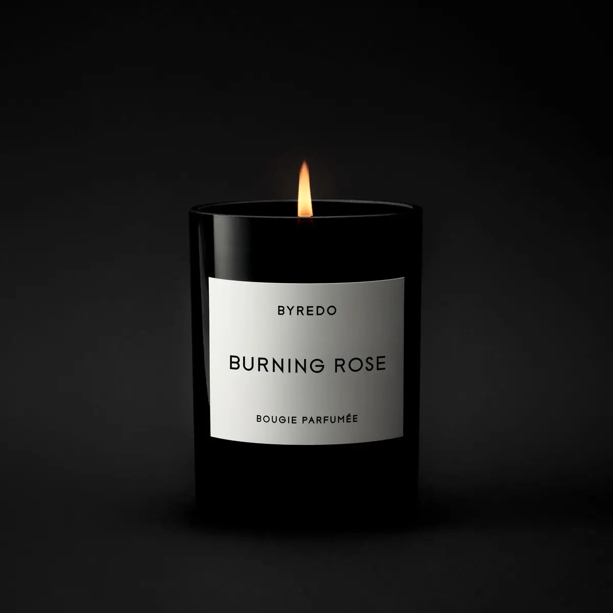 BYREDO - Burning Rose