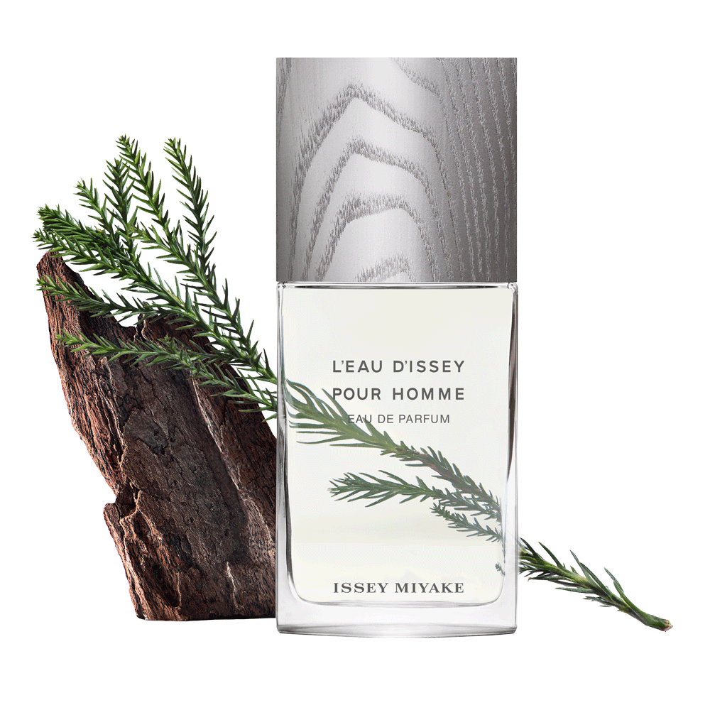ISSEY MIYAKE L’eau d’Issey Pour Homme