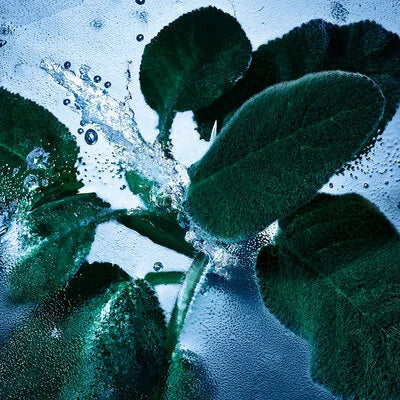 YVES SAINT LAURENT - Y Iced Cologne