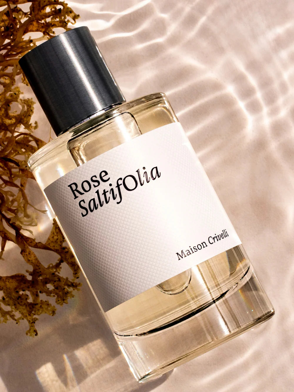 MAISON CRIVELLI - Rose SaltifOlia