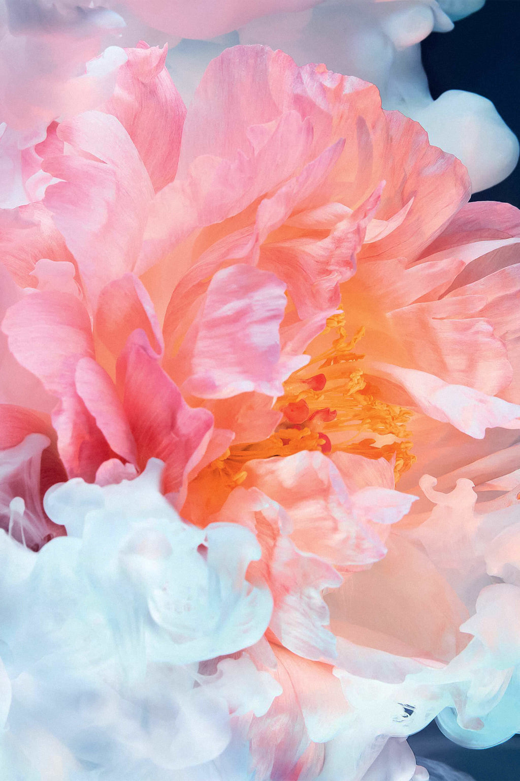 DIOR - JOY by Dior