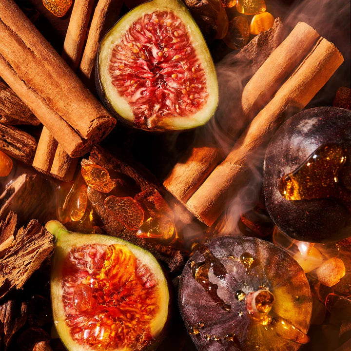 ROJA - Amber Aoud