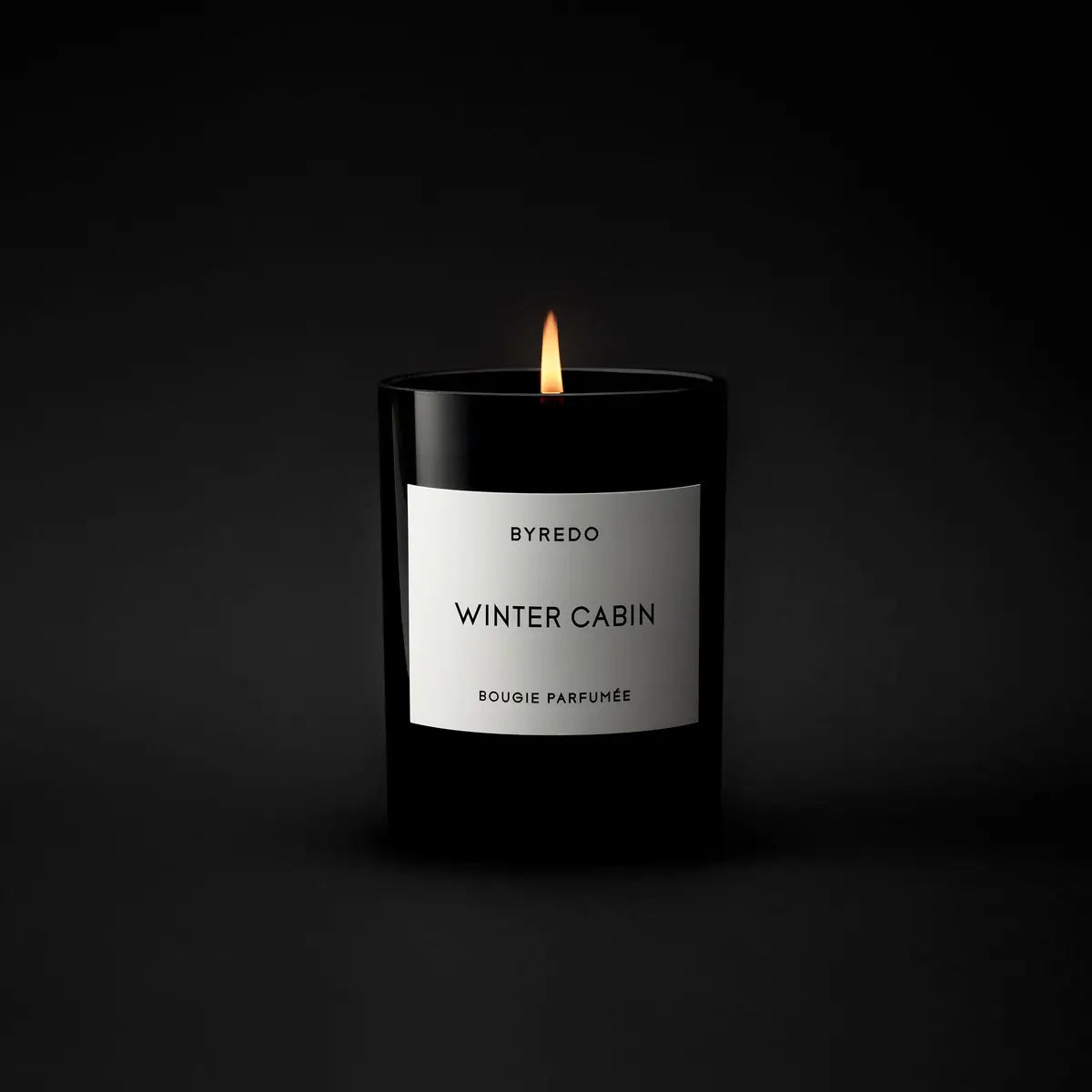 BYREDO - Winter Cabin