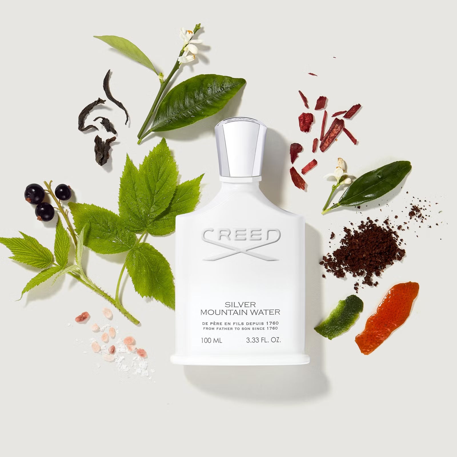 CREED - Silver Mountain Water