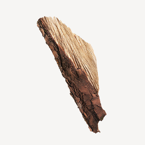 ISSEY MIYAKE L’eau d’Issey Pour Homme
