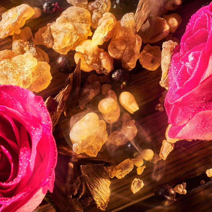 ROJA - Taif Aoud